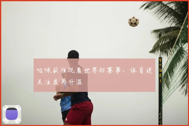 咕咪获准观看世界杯赛事,体育迷关注度再升温