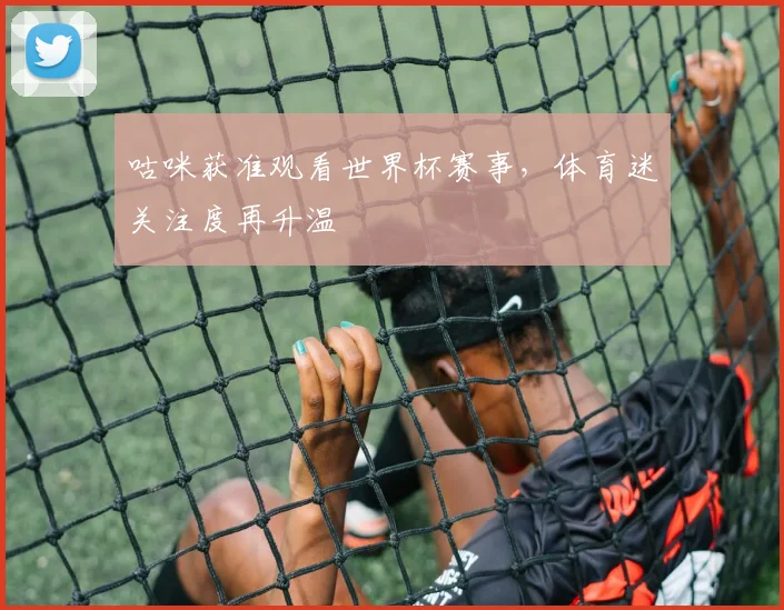 咕咪获准观看世界杯赛事，体育迷关注度再升温