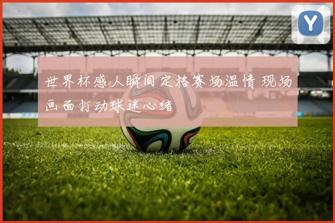 世界杯感人瞬间定格赛场温情 现场画面打动球迷心绪